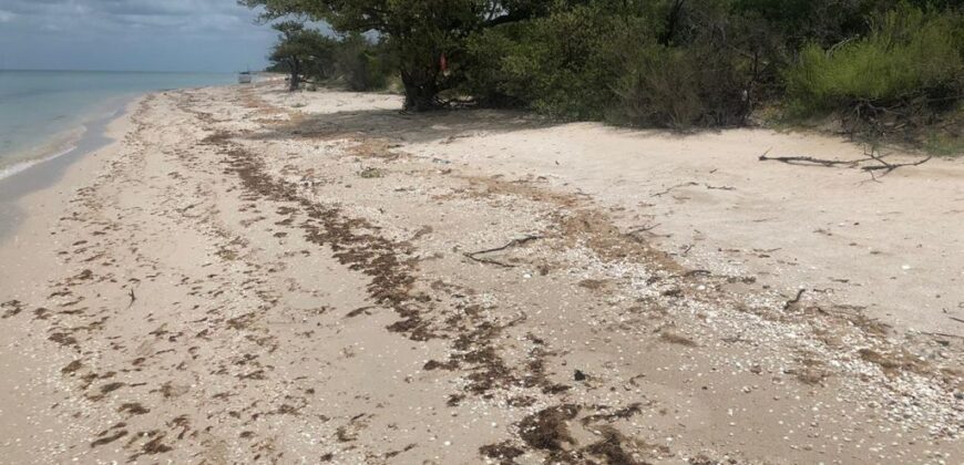 TERRENO EN CELESTUN ORILLA DEL MAR