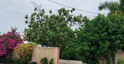 RESIDENCIA CAMPESTRE EN PRIVADA CALLEJONES DE CHUBURNA CASA PAJARO