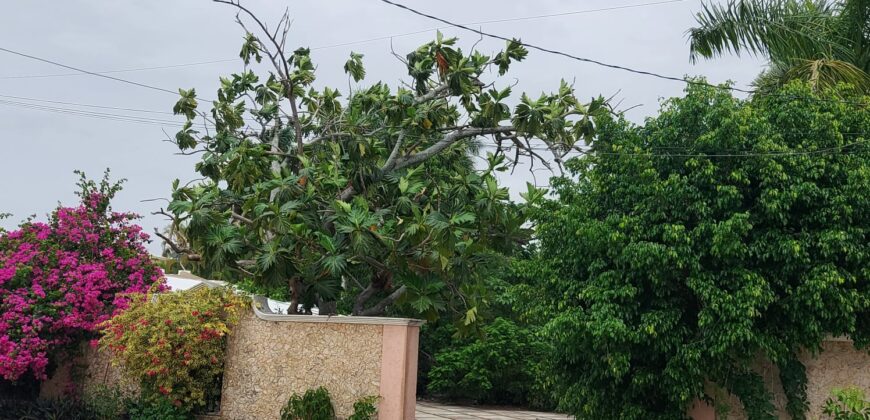 RESIDENCIA CAMPESTRE EN PRIVADA CALLEJONES DE CHUBURNA CASA PAJARO