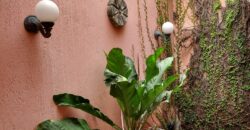 RESIDENCIA CAMPESTRE EN PRIVADA CALLEJONES DE CHUBURNA CASA PAJARO