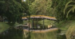 RESIDENCIA AMUEBLADA PRIVADA PUNTA LAGO